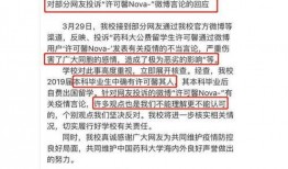 许可馨最新爆料新新,揭秘留学生活背后的真相与争议